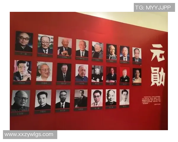 成都排球队的崛起之路联合会杯背后的成长与奋斗故事